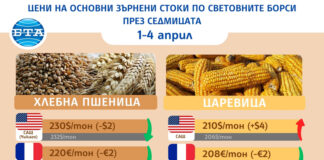 Цените на пшеницата продължават да се понижават на световните борси, отчитат експертите на Софийската стокова борса