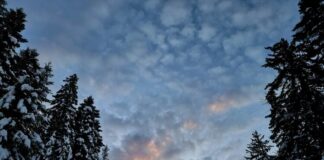 Добри са условията за туризъм в планините, с изключение на най-високите части на Стара планина, съобщиха от Планинската спасителна служба на БЧК