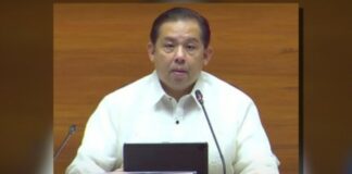 ФНА: Председателят на долната камара на филипинския Конгрес похвали полицията за резкия спад на престъпността