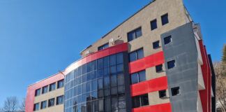 На официална церемония в Смолян ще връчат приз "Лесовъд на годината"