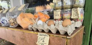 Над 10 процента е средното поскъпване на козунаци и яйца във Враца преди Великден спрямо миналата година