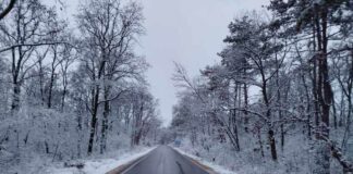 Ограничава се движението на тежкотоварни автомобили през проходите "Рожен" и "Превала" поради снеговалеж