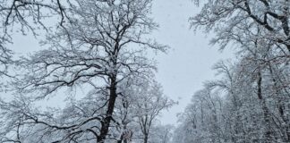 Шофьорите да тръгват с готови за зимни условия автомобили, очакват се валежи от дъжд и сняг, апелираха от АПИ