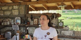 Виненият туризъм в България има потенциал като този във Франция, Италия и Испания, каза за БТА виненият експерт Анелия Христова от Русе