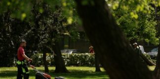 За събиране и транспортиране на битовите отпадъци са предвидени 86 500 000 лв. в бюджета на София, съобщи Васил Терзиев