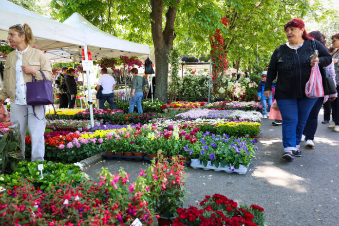 Започва 40-ото национално изложение на цветя "Флора" в Бургас