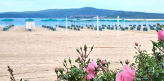 Българските плажове и пристанища със "Син флаг" за Лято 2025
                                                                                                Плаж Дюни е напълно подготвен за посрещането на първите туристи