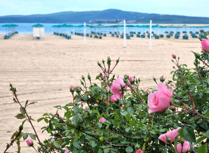 Българските плажове и пристанища със "Син флаг" за Лято 2025
                                                                                                Плаж Дюни е напълно подготвен за посрещането на първите туристи