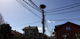 България е сред страните от ЕС с най-ниска цена на електричеството за битови клиенти през второта половина на 2024 г., отчита Евростат