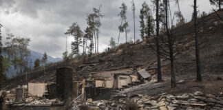 Двама души загинаха при голям горски пожар в централната част на Канада