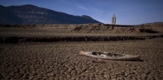 Екстремните горещини излагат на риск до 15 на сто от икономическото производство на еврозоната, предупреди ЕЦБ