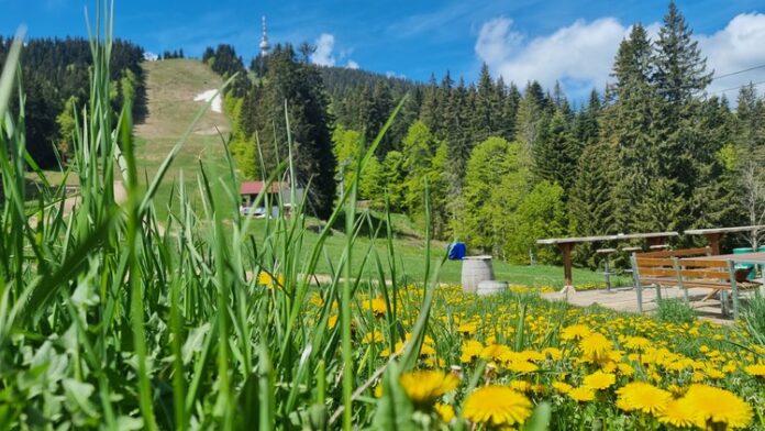 Лифтът до вр. Снежанка в Пампорово