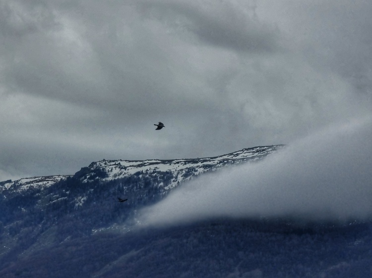 СподелиПланинските условия не са подходящи за туризъм заявиха от Планинската