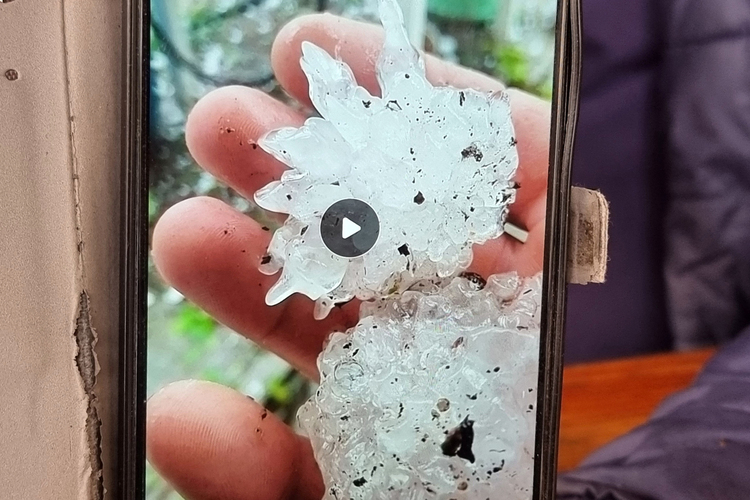 СподелиМай и юни са периодите когато у нас най често се