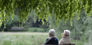 Малко над 45 на сто от гражданите между 50 и 74-годишна възраст в ЕС са получавали пенсия през 2023 г., по данни на Евростат