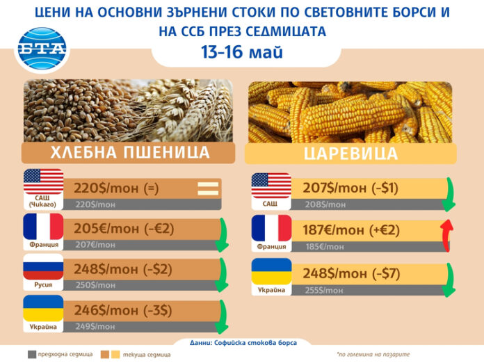 Минимални промени в цените на основните зърнени култури по световните борси отчитат експертите на Софийската стокова борса