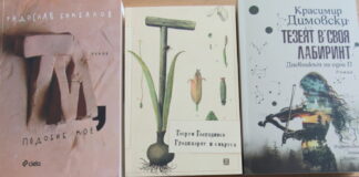 Националната литературна награда за български роман на годината "13 века България" ще бъде връчена днес