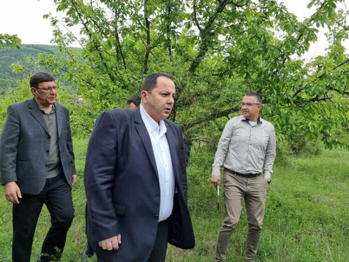 Над 5000 заявления за обезщетения за 300 000 дка са подали земеделски стопани в страната заради априлските студове