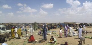 Острото недохранване в световен мащаб се увеличава поради конфликти и мрачните перспективи за 2025 г., според годишния доклад на Глобалната мрежа срещу продоволствени кризи