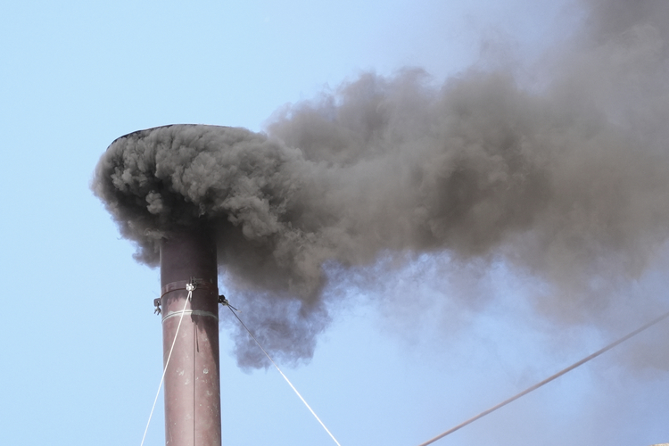 СподелиДнес от комина на Сикстинската капела във Ватикана се появи