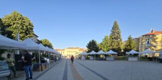 Първото издание на фестивал на българското сирене и млечните продукти започва във Враца