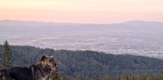 Подходящи са условията за туризъм в по-ниските части на планините, съобщиха от Планинската спасителна служба на БЧК