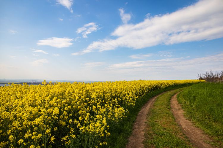 СподелиСпоред първоначалните данни проливните дъждове в Бургас и регионите около