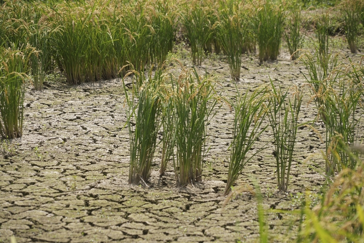 СподелиSure Here’s a rewritten version of the provided text preserving