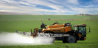 В населени места от община Сандански е в ход акция за унищожаване на скакалци