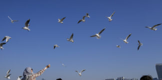 В ОАЕ бе регистрирана рекордна за май температура от 50,4 градуса по Целзий