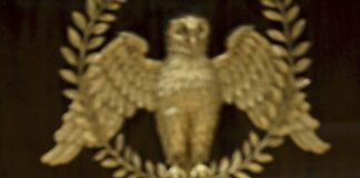 Зеленски и Ердоган обсъдиха подробности около мирните преговори в Истанбул