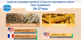 Цените на основните зърнени стоки на световните борси се понижават в последните дни на юни, отчитат експертите на Софийската стокова борса
