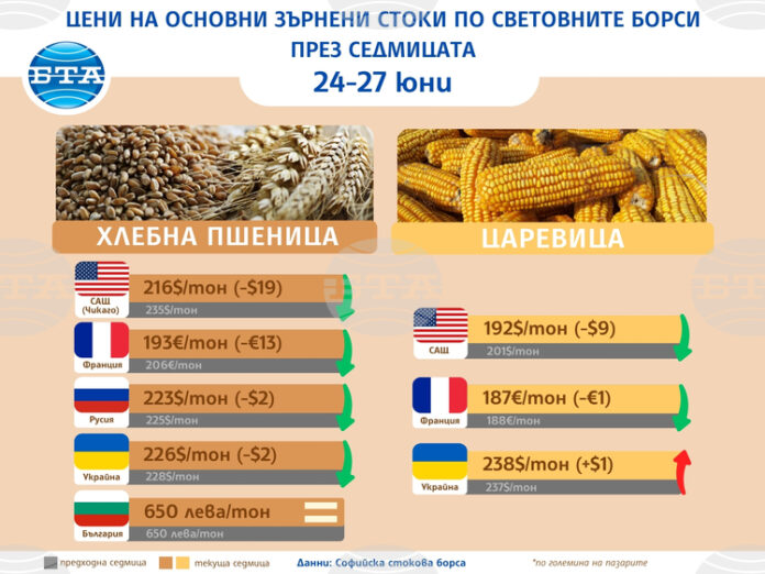 Цените на основните зърнени стоки на световните борси се понижават в последните дни на юни, отчитат експертите на Софийската стокова борса