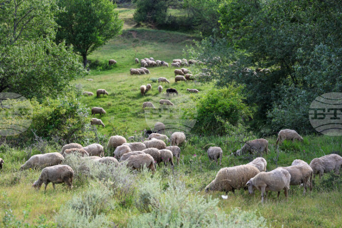 Добри са условията за туризъм, следобед се очаква влошаване на времето