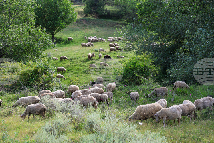 СподелиКъм момента условията за пътуване в планините са удовлетворителни но