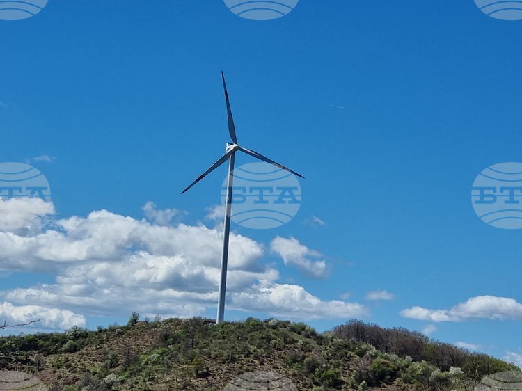 СподелиЗаместник председателят на Европейската комисия Тереса Рибера представи нови насоки относно