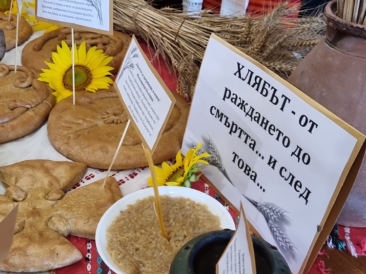 СподелиНа 14 юни ще се проведе 12 ото издание на Празника