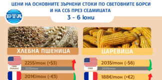 Лек спад на основните зърнени култури по световните борси отчитат експертите на Софийската стокова борса