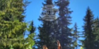 Много добри са условията за туризъм в планините, съобщиха от Планинската спасителна служба на БЧК