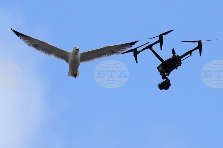 СподелиНидерландският производител на оръжие Артилери Инрихтинген Армаментс е започнал да