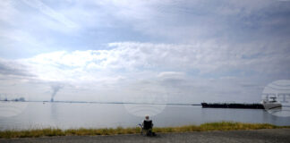 От фризьор до военен: професиите в Нидерландия, в които има голямо търсене