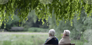 Повече от половината германци планират да работят и след пенсиониране, за да запазят стандарта си на живот, показва проучване