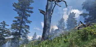 Пожар гори в Природен парк „Рилски манастир“, засегнати са 10 дка иглолистна гора, съобщиха от агенцията по горите