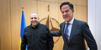 Руските удари по Украйна са самоцелно насилие, каза Рюте