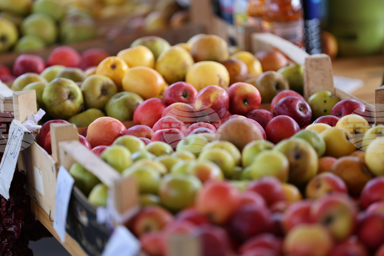 СподелиСпоред новия доклад на Европейската комисия ЕК публикуван днес търговията