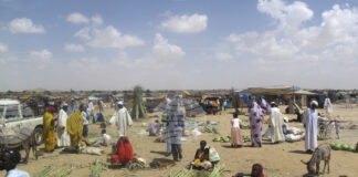 Суданските военни приеха предложението на ООН за едноседмично прекратяване на огъня в Ел Фашер за доставка на помощи