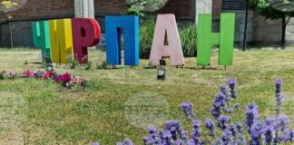 Тридневният Международен фестивал на лавандулата 2025 в Чирпан представя природата и българската култура под надслов "Сетивата празнуват"