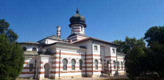 В Плевен ще бъдат открити две изложби, посветени на годишнината от рождението на акад. Светлин Русев