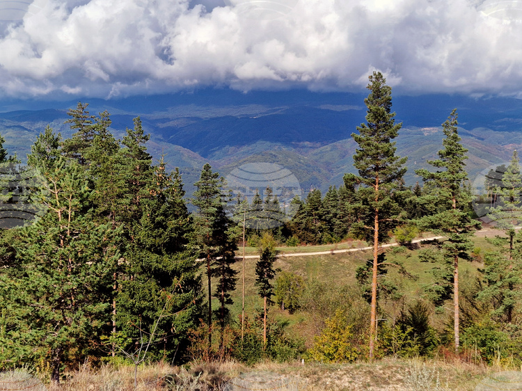 СподелиВ алпийските територии на планините които започват от 2000 метра