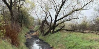 Водите на река Новачица са мътни заради временно отбит канализационен колектор на „Софийска вода“ АД, има издадени разрешения